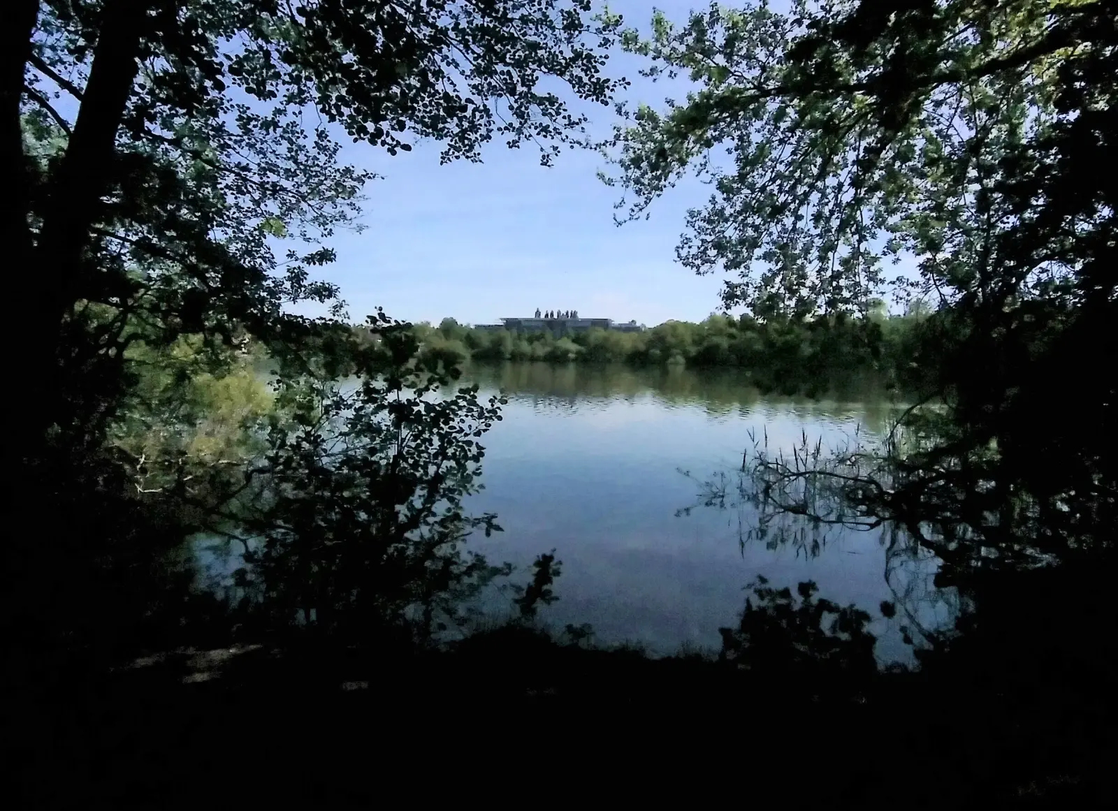 Durch Bäume gerahmter Blick auf die ruhige Wasserfläche des Ostorfer Sees